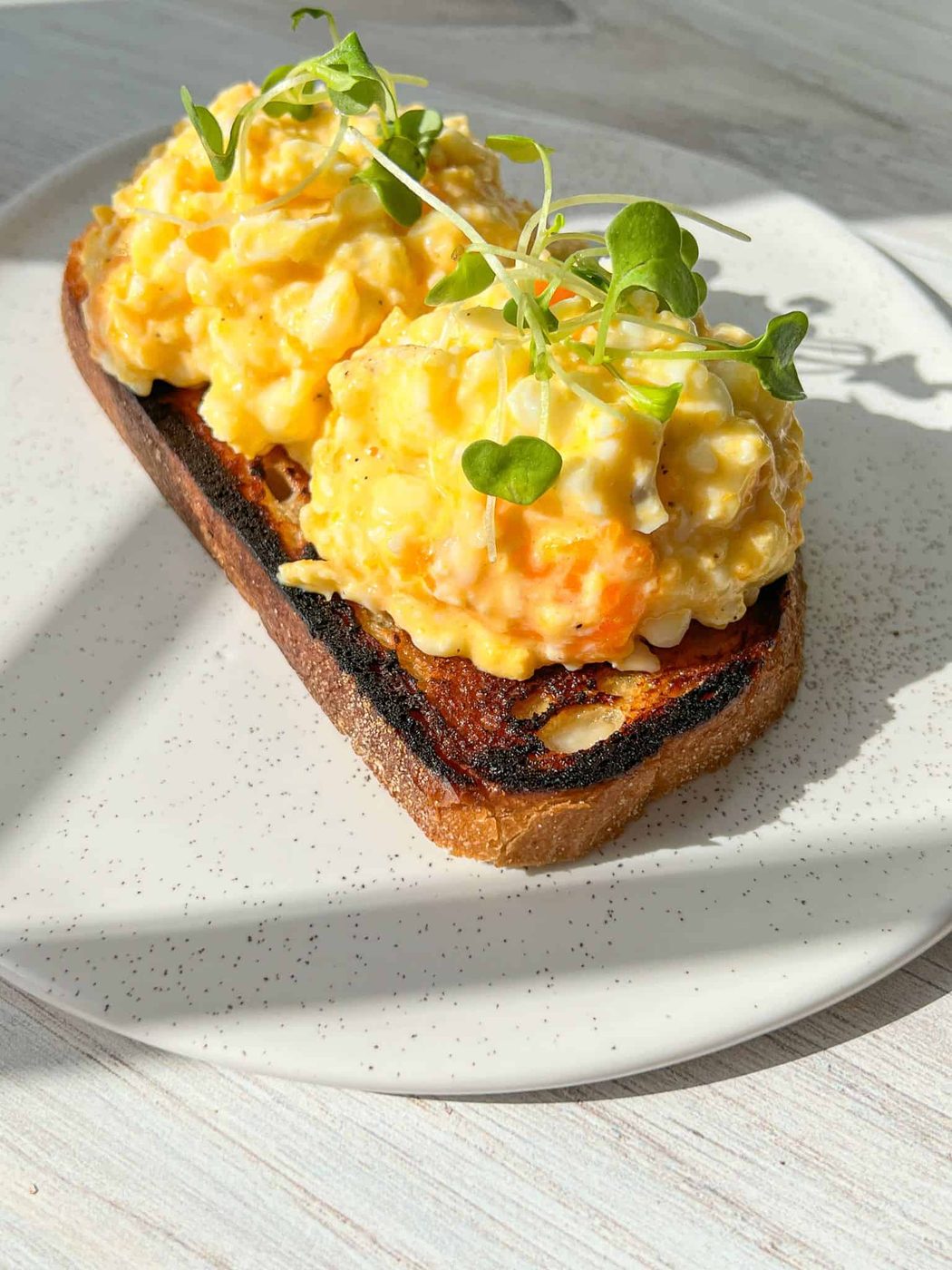 The perfect cottage cheese eggs. Open-faced sandwich with scrambled eggs on toasted bread, garnished with microgreens. The sandwich is on a white plate, and sunlight is casting shadows, enhancing the texture of the dish. 