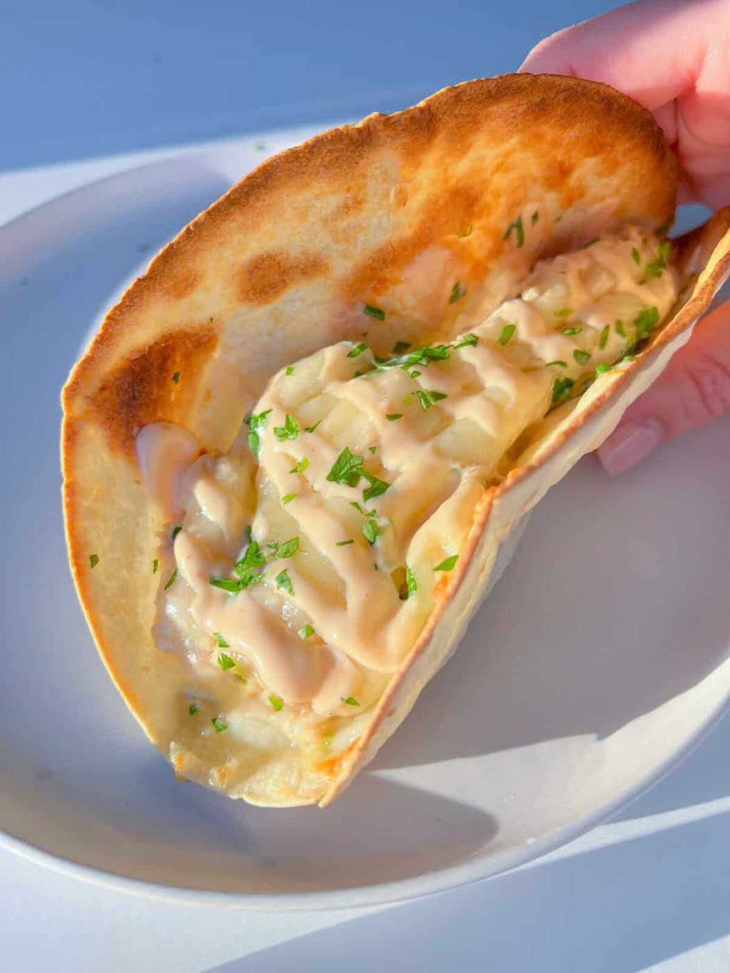 Tuna Melt Wrap