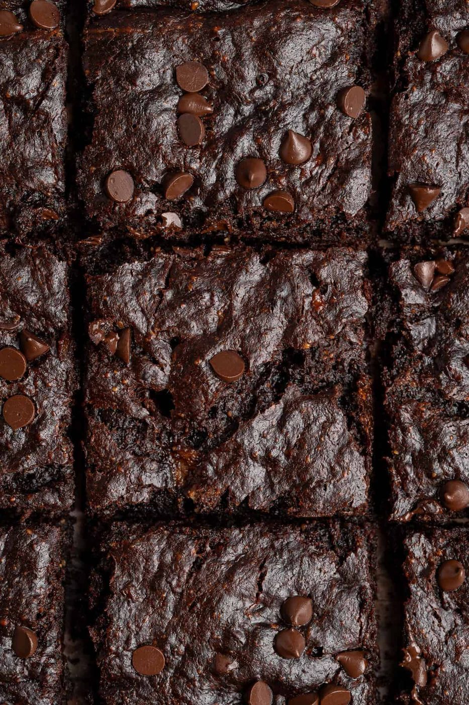 Close-up of a batch of rich, chocolate chip brownies. The brownies are cut into squares, with a glossy surface and scattered chocolate chips on top, showcasing a dense and moist texture.