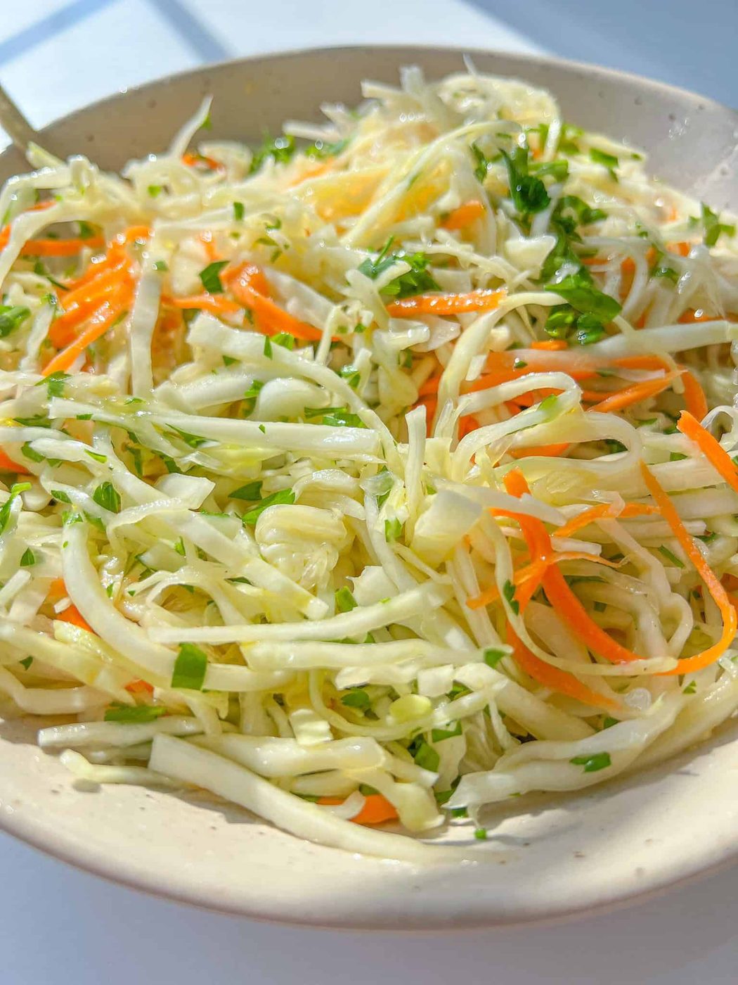 Healthy Coleslaw