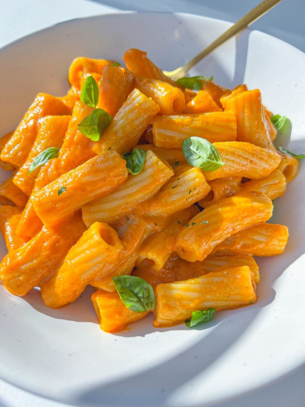 Hidden Veggie Pasta Sauce