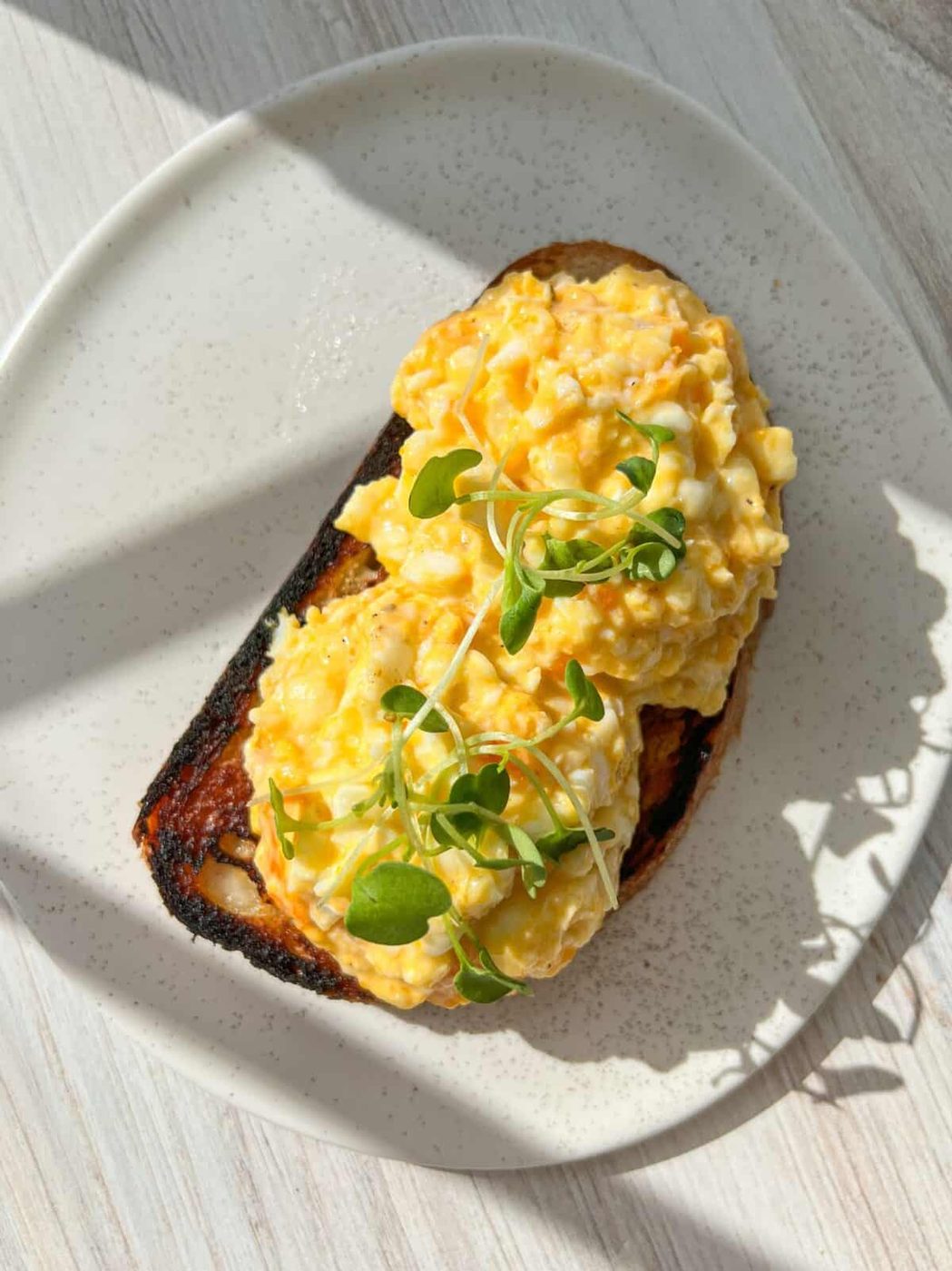 A plate with two slices of toast topped with scrambled eggs and garnished with microgreens. The high protein toast is slightly charred, and sunlight casts shadows on the white, speckled plate and wooden table surface.