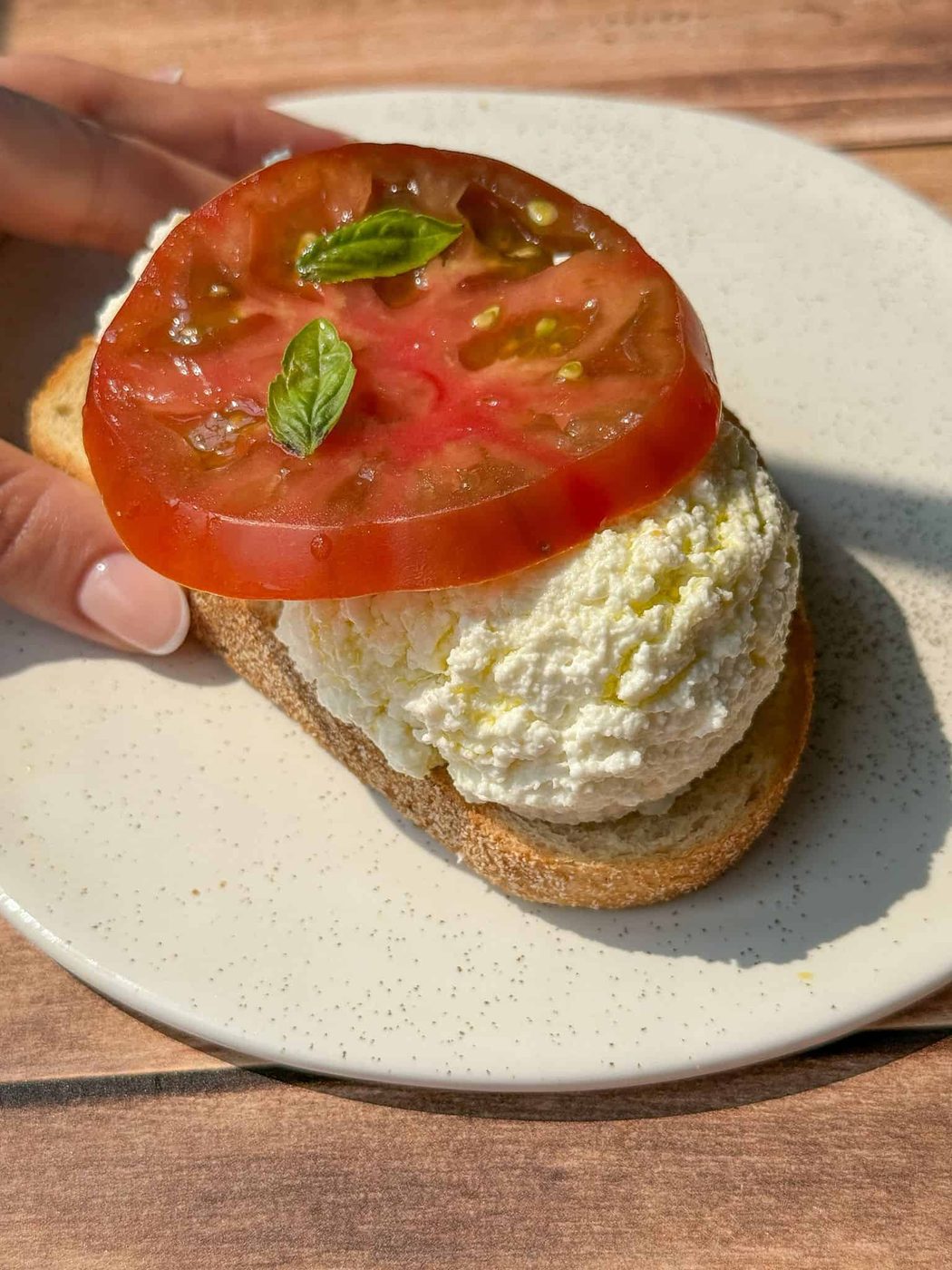 A hand holds a plate with a slice of bread topped with a scoop of ricotta cheese, a thick slice of tomato, and two small basil leaves, all on a sunlit wooden surface.