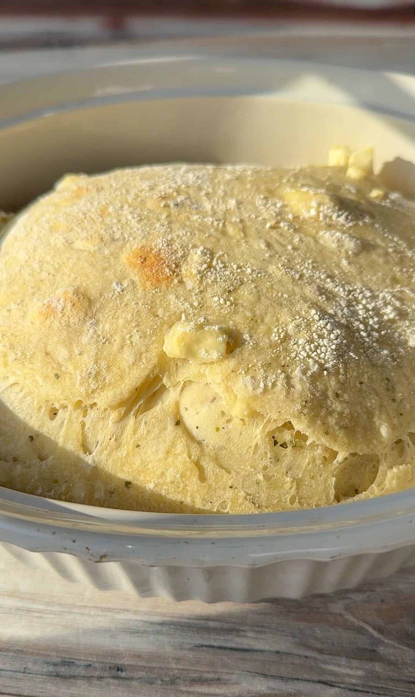 Close-up of a lightly dusted, golden-brown no knead feat bread bread after it's first bake. The dough appears fluffy with some bubbles on the surface, suggesting it is well-leavened. Sunlight casts soft shadows, highlighting its texture.