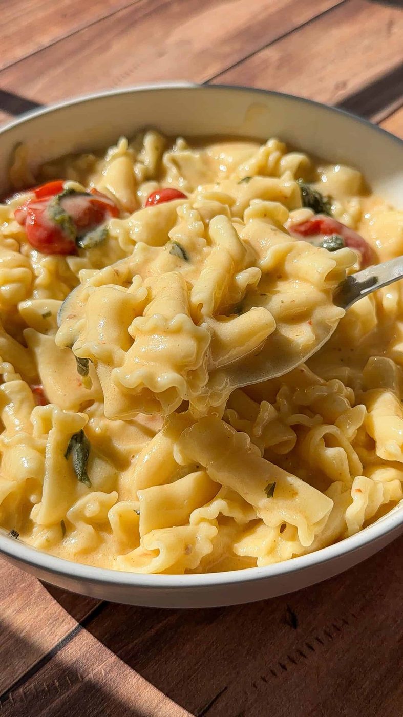 Rice Cooker Pasta and Boursin