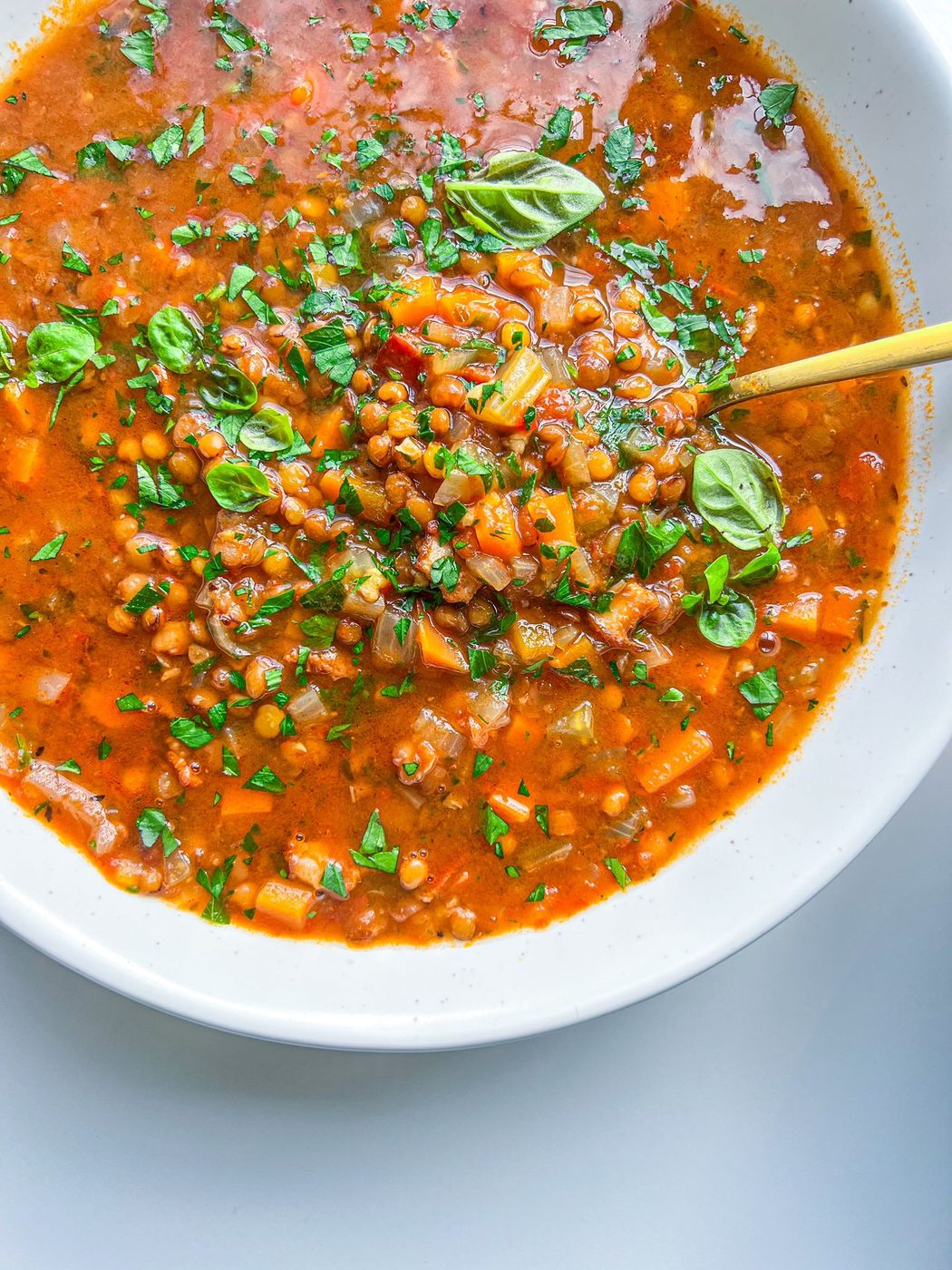 Lentil Soup