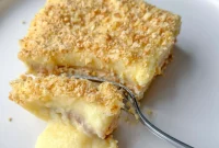Velvety Custard Cake