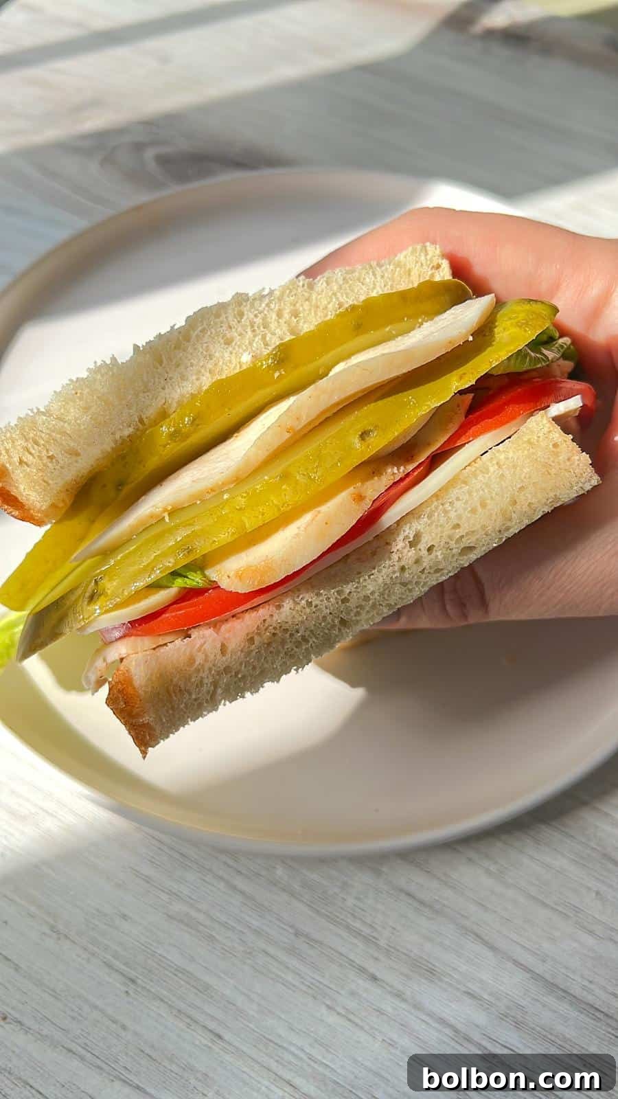featured 48468