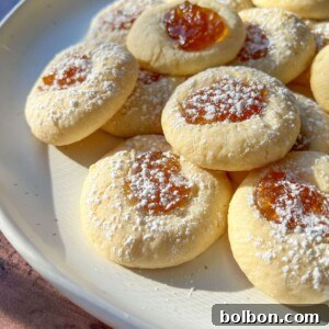 A plate of thumbprint cookies, reminiscent of Shortbread Cookie Bars, topped with powdered sugar and filled with orange jam, arranged in sunlight on a white dish.