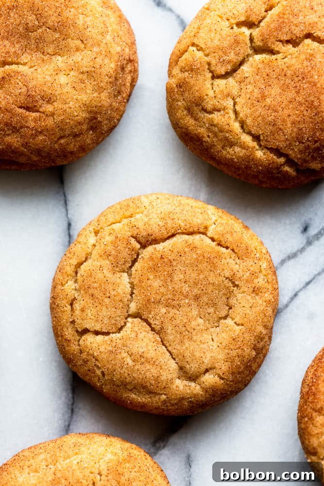 Delicious brown butter snickerdoodle cookies with a crinkled top, ready to eat. These easy snickerdoodles are soft, chewy, and perfect for Christmas or any cookie exchange.