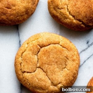 A perfectly baked brown butter snickerdoodle cookie with visible crinkles and cinnamon sugar, ready to be eaten.