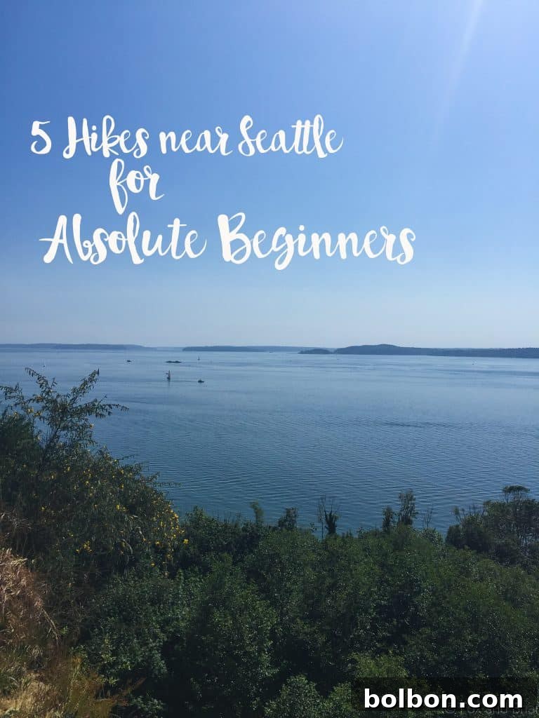 No Experience Needed: Seattle's Top 5 Beginner Hikes 2 Lush green forest path, ideal for beginner hikes near Seattle.