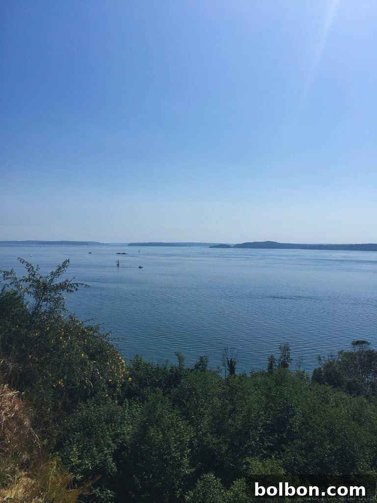 No Experience Needed: Seattle's Top 5 Beginner Hikes 8 Dense foliage lining a peaceful hiking trail, perfect for quiet reflection.