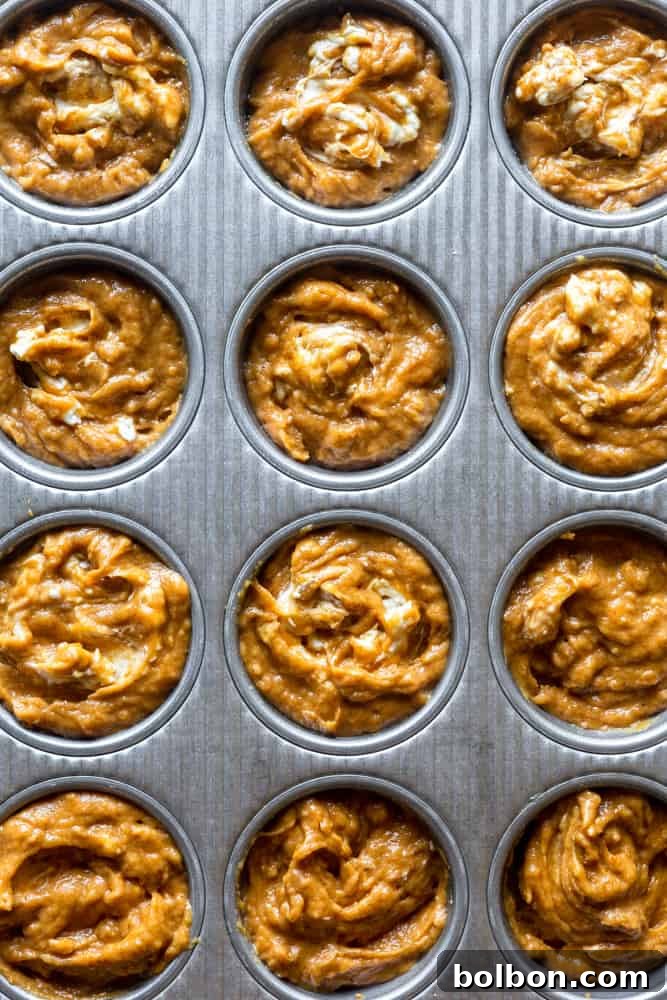 Pumpkin muffin batter with cream cheese beautifully swirled in, ready for baking