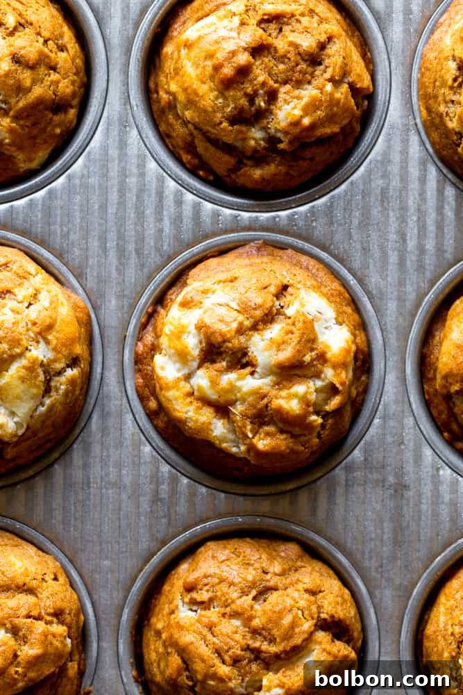 Baked pumpkin cream cheese muffins cooling in a muffin tin, showcasing their golden tops