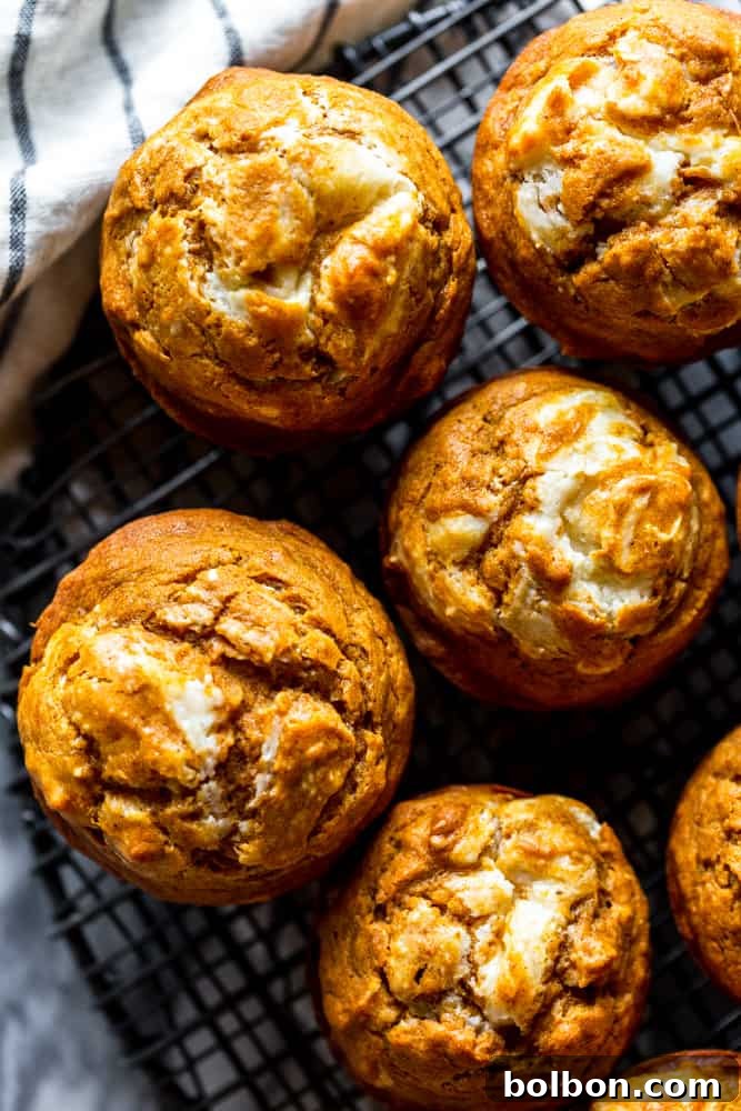 Top-down view of pumpkin swirl muffins cooling on a wire rack, showing their intricate cream cheese patterns