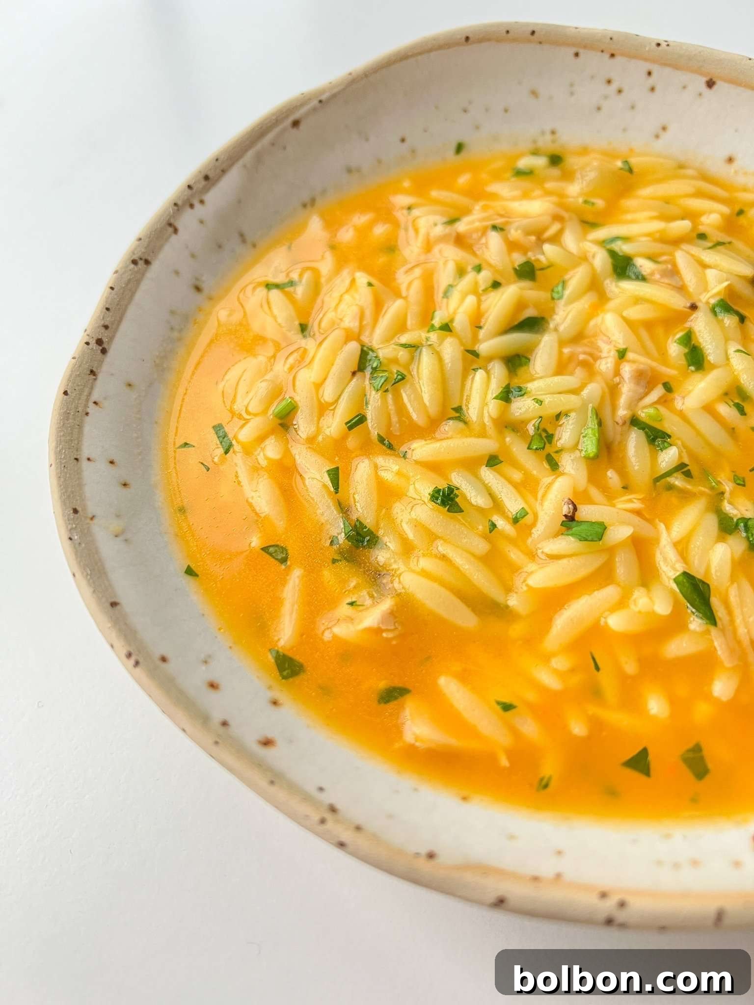 Sneaky Veggie Orzo Soup 2 A rustic bowl of creamy orange Hidden Veggie Orzo Soup with chicken, garnished with fresh parsley.