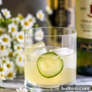 Beautifully garnished Irish Maid cocktail, shot from an overhead angle.