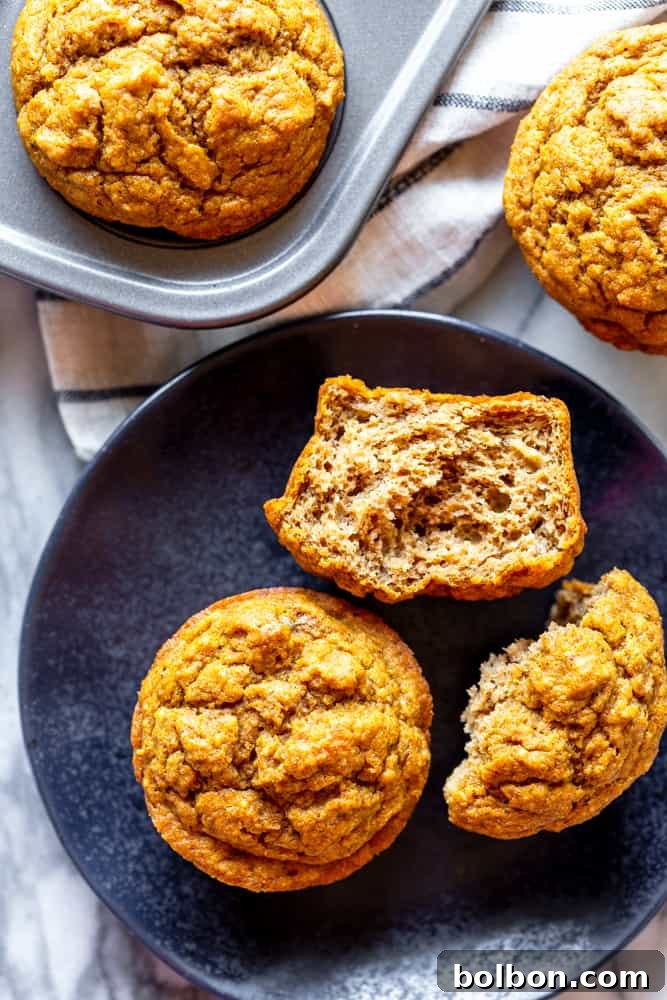 Naturally Sweet Pumpkin Banana Muffins 4 A single healthy pumpkin banana muffin presented attractively on a black plate, ready to be enjoyed as a wholesome snack.