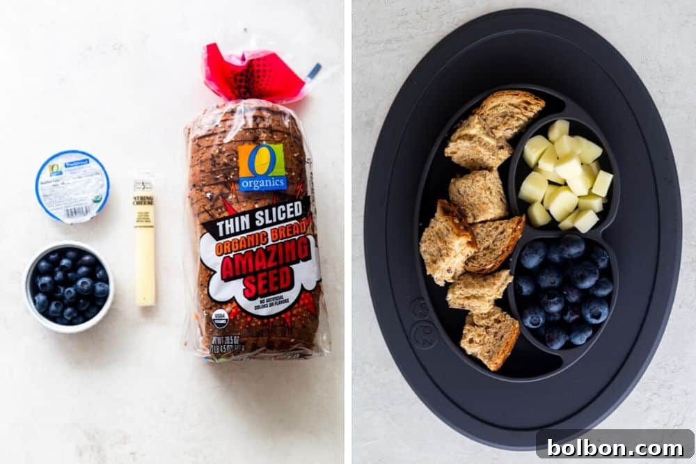 Second toddler lunch idea: hummus on whole grain bread, string cheese, and blueberries