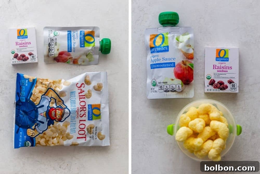Fifth toddler lunch idea: on-the-go snacks including applesauce pouch, Sailor's Loot, and raisins