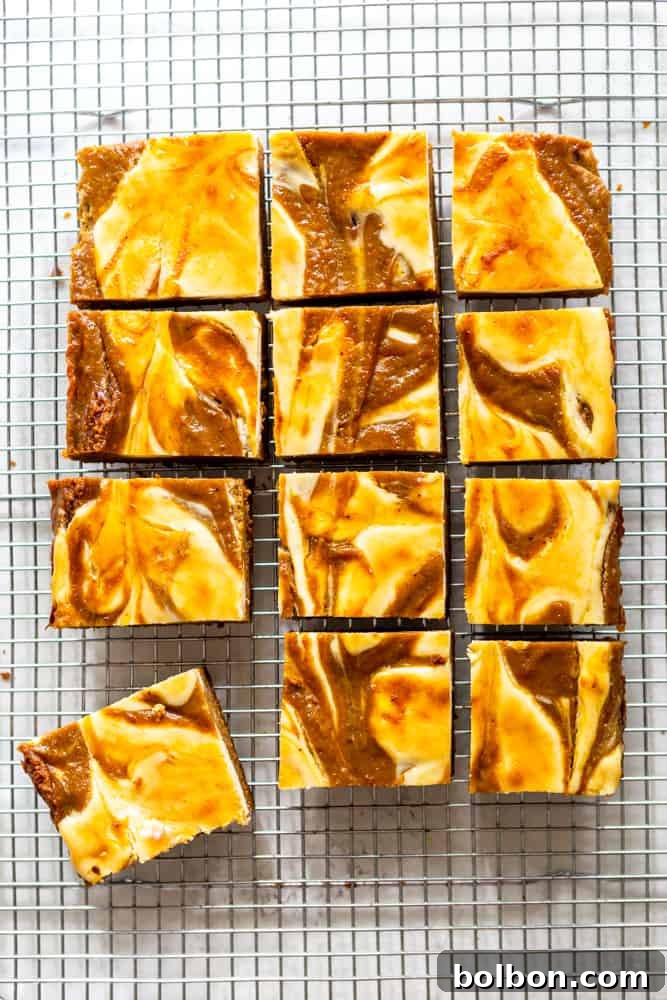 Freshly baked Pumpkin Cream Cheese Bars cooling on a wire rack, showcasing the golden-brown gingersnap crust and swirled top. Keywords: baked pumpkin bars, fall desserts, homemade treats, cooling rack.
