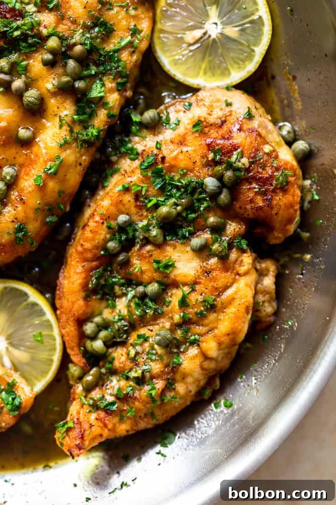 chicken piccata with capers in a pan