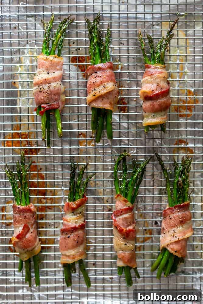 Hand carefully wrapping thin-cut bacon around a bundle of fresh asparagus spears, a key step in preparing the appetizer.