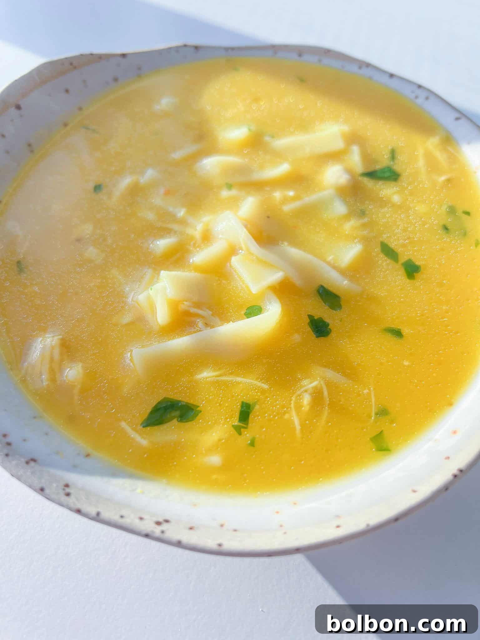 Smooth Secret Veggie Soup 2 Hidden Veggie Chicken Soup