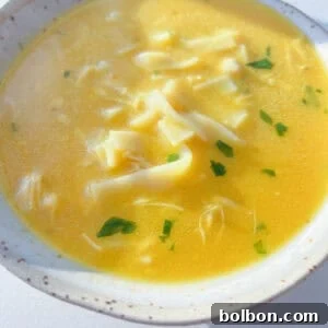 A close-up of a bowl of Hidden Veggie Soup featuring yellow chicken noodle soup with wide noodles, shredded chicken, and sprinkled fresh herbs, served in a light-colored bowl.