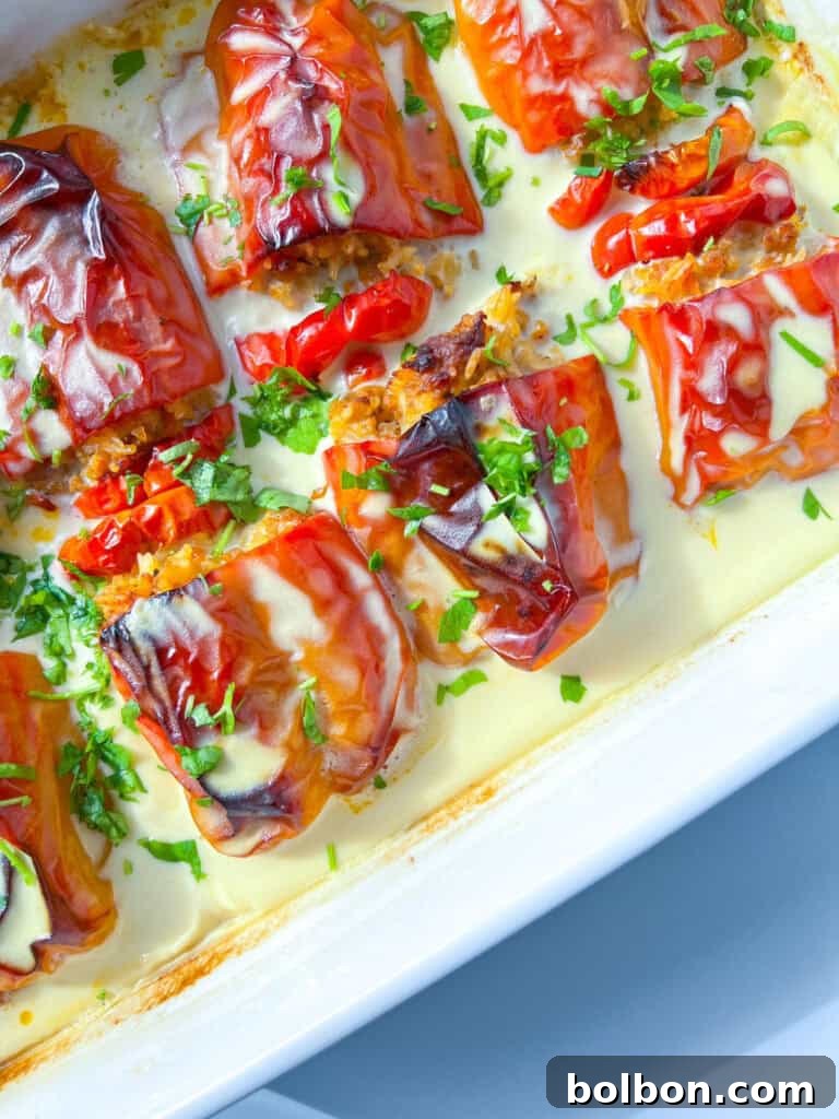 Beautifully baked Bulgarian stuffed peppers, garnished with fresh herbs and served in a baking dish.