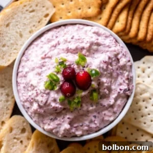 A close-up of the finished Cranberry Jalapeno Dip, perfectly creamy and ready to serve.