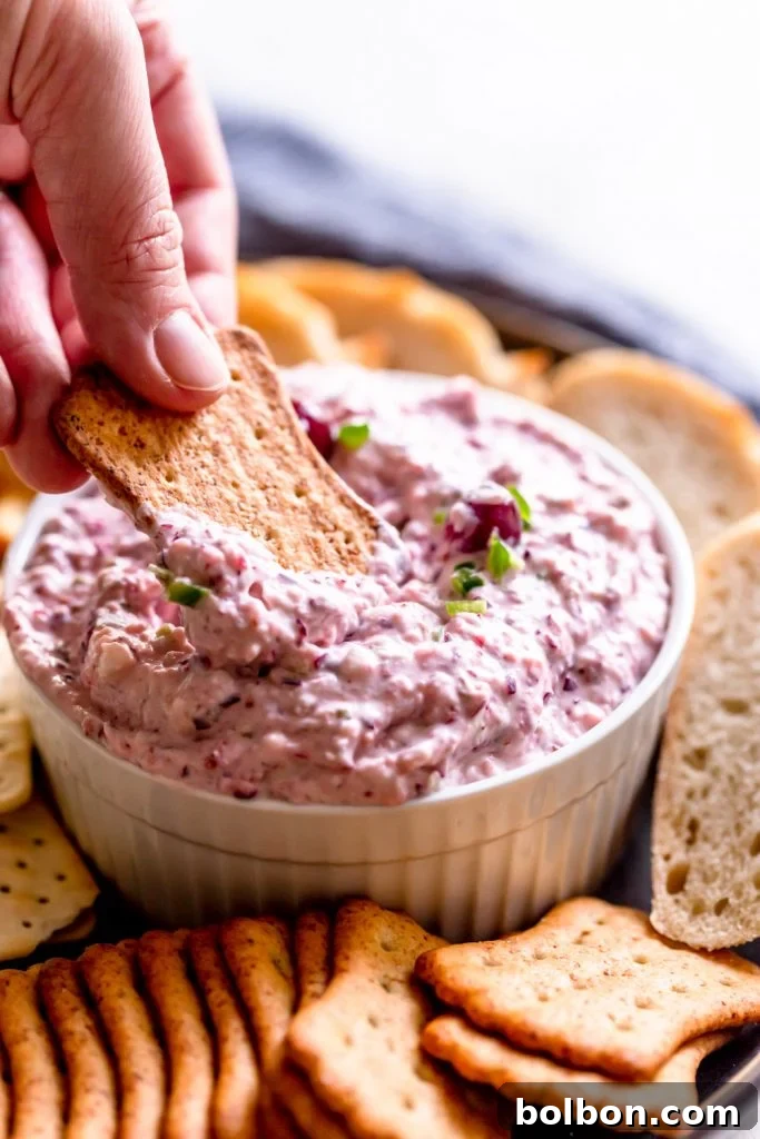 Sweet Heat Cranberry Jalapeno Dip 9 A cracker being dipped into the creamy, festive Cranberry Jalapeno Dip, showcasing its smooth texture and appealing presentation.