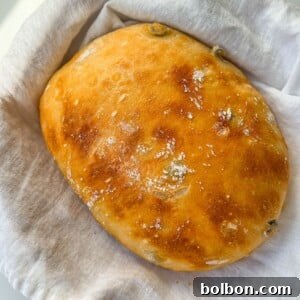 A freshly baked, golden-brown No Knead Olive Bread with a shiny crust and visible olives rests on a white linen cloth inside a basket.