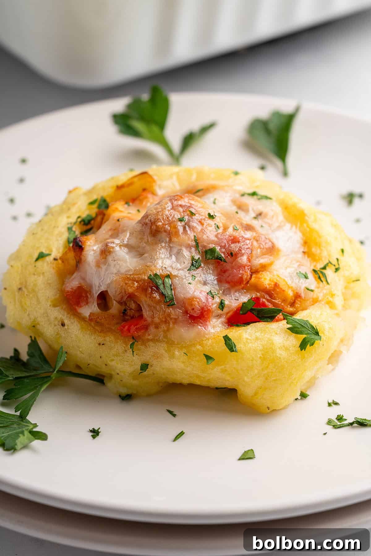 A close up of a chicken mashed potato nest, golden brown, filled with the cooked chicken and vegetable mixture and topped with melted cheese. Garnish of chopped parsley on top and around the dish. 