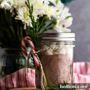 A festive image of a mug filled with hot chocolate, topped with marshmallows, next to a jar of homemade hot chocolate mix.