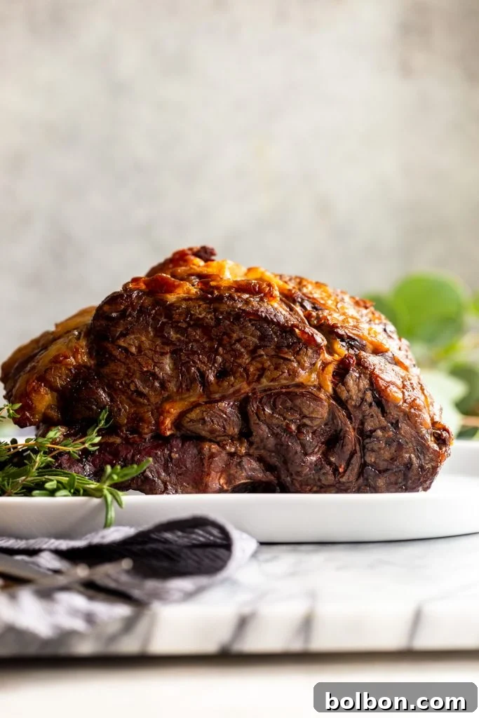 Whole Slow Roasted Prime Rib after cooking with browned exterior.
