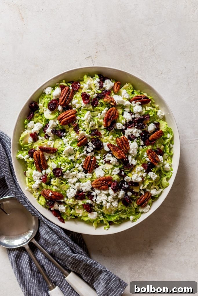 Shaved brussels sprouts salad with goat cheese, dried cranberries and candied pecans, in a while bowl next to a blue dishtowel.