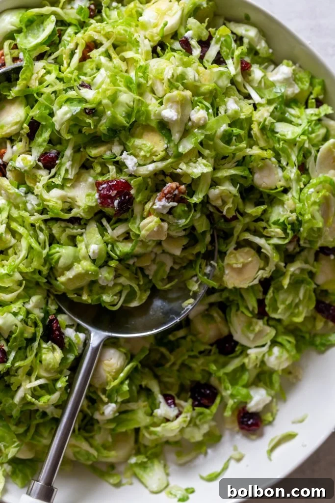 Close up of shaved brussels sprouts salad with cranberries, goat cheese, pecans and maple dressing