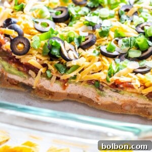 Seven Layer Fiesta Dip 7 A beautifully layered seven layer dip, ready for serving.