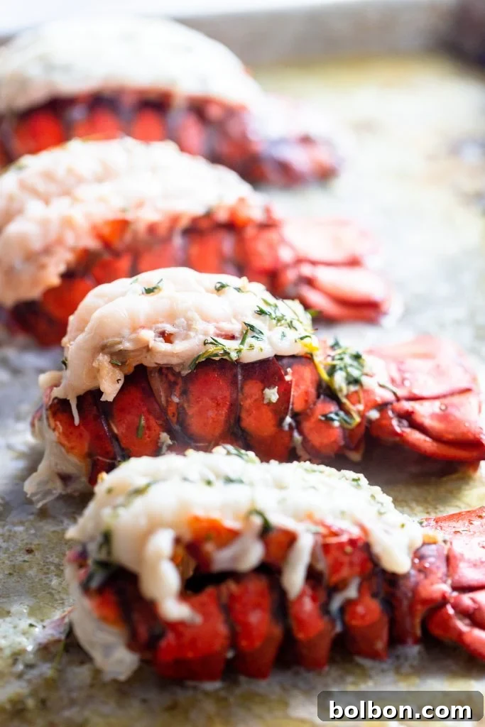 Four perfectly cooked broiled lobster tails arranged on a baking sheet, golden brown and ready to serve.