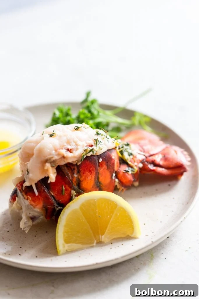Plated broiled lobster tail with lemon wedge and melted butter, ready to be eaten