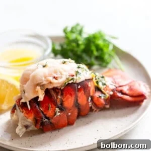 Cooked broiled lobster tails on a plate with melted butter.