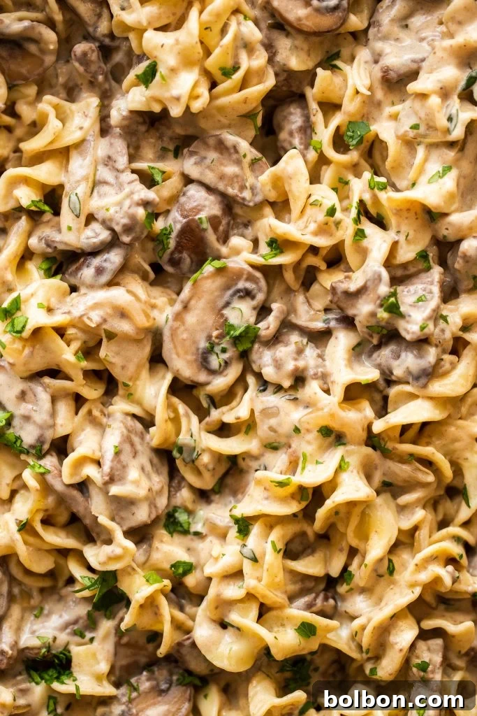Close-up of creamy Beef Stroganoff with tender beef, mushrooms, and egg noodles, garnished with fresh parsley.
