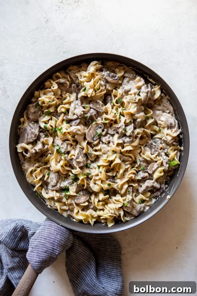 Hearty Beef Stroganoff with egg noodles in a large pan, ready to be served.