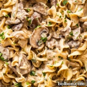 A bowl of Beef Stroganoff with egg noodles, ready to eat.