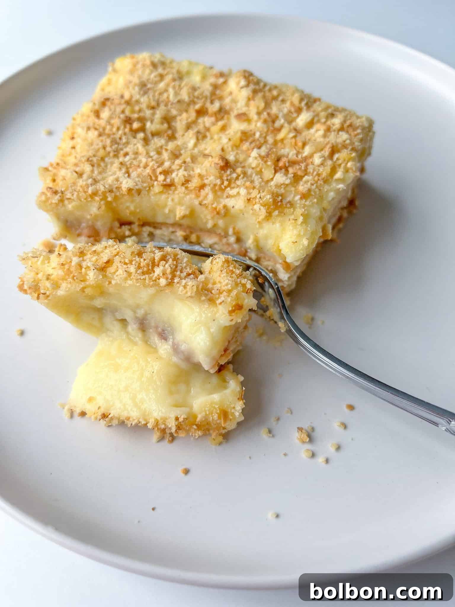 Velvety Custard Cake 2 A slice of creamy Custard Cake (Biskvitena Torta) with distinct layers of soft cookies and smooth yellow custard, topped with crushed nuts.