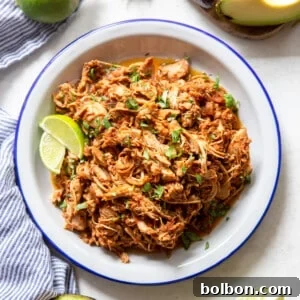 Close-up of Instant Pot Salsa Chicken in a bowl, garnished with cilantro.