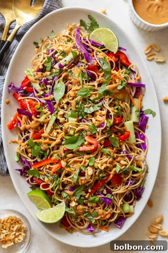 Zesty Peanut Noodles 2 Cold peanut noodle salad on a large white platter. Garnished with peanut sauce, basil, chopped peanuts and sesame seeds.