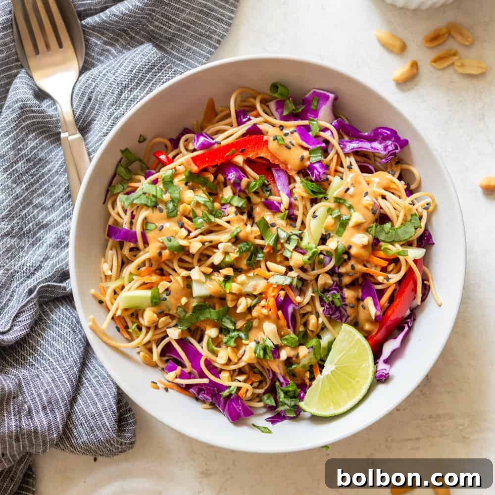 Zesty Peanut Noodles 7 Cold peanut noodle salad in a white bowl